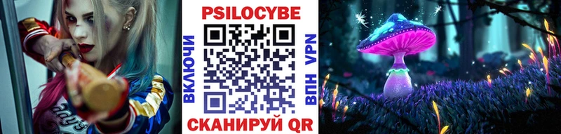 darknet телеграм  Новохопёрск  Галлюциногенные грибы GOLDEN TEACHER 